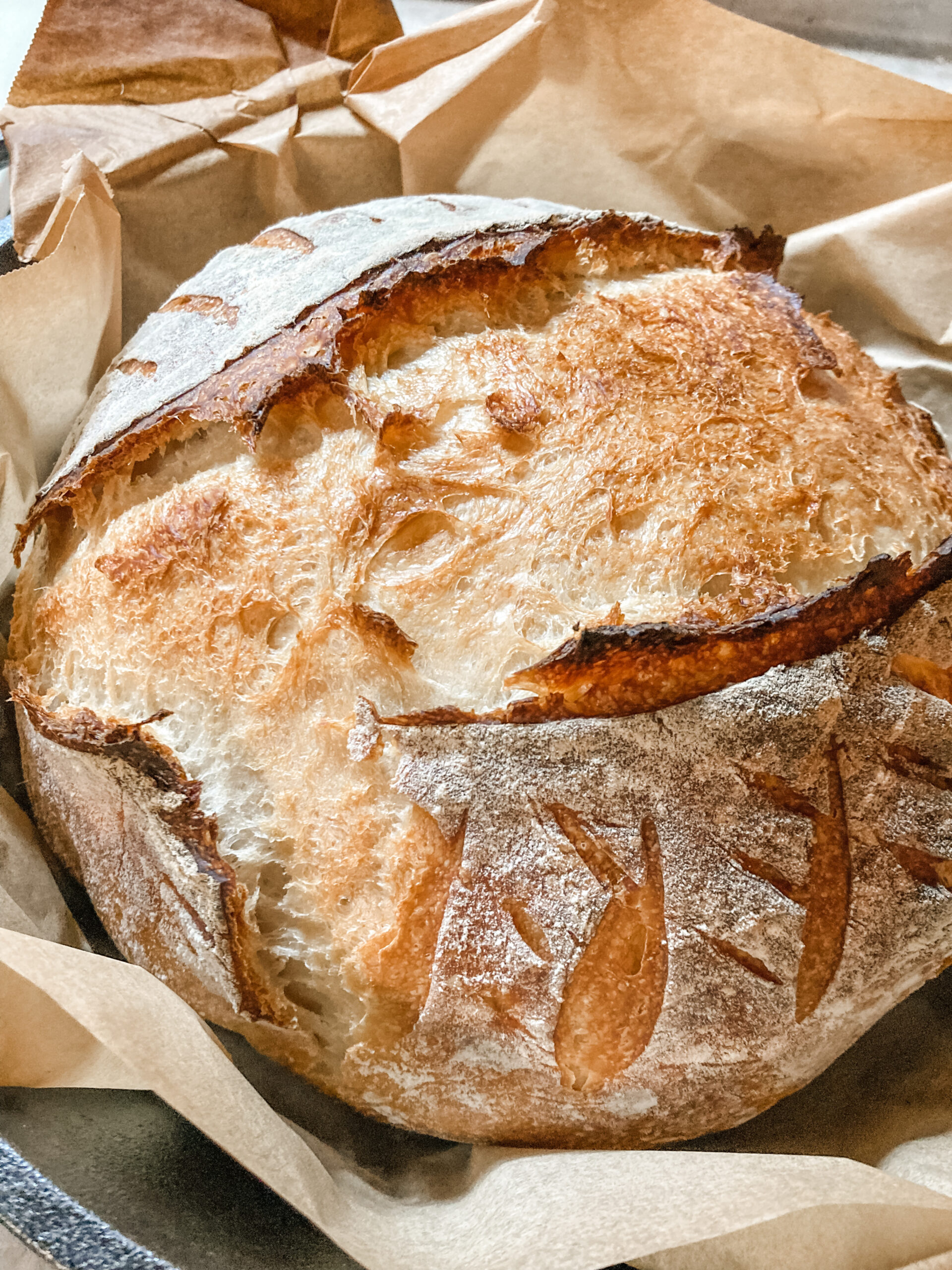 How to Make Homemade Artisan Sourdough Bread - Our Future Homestead