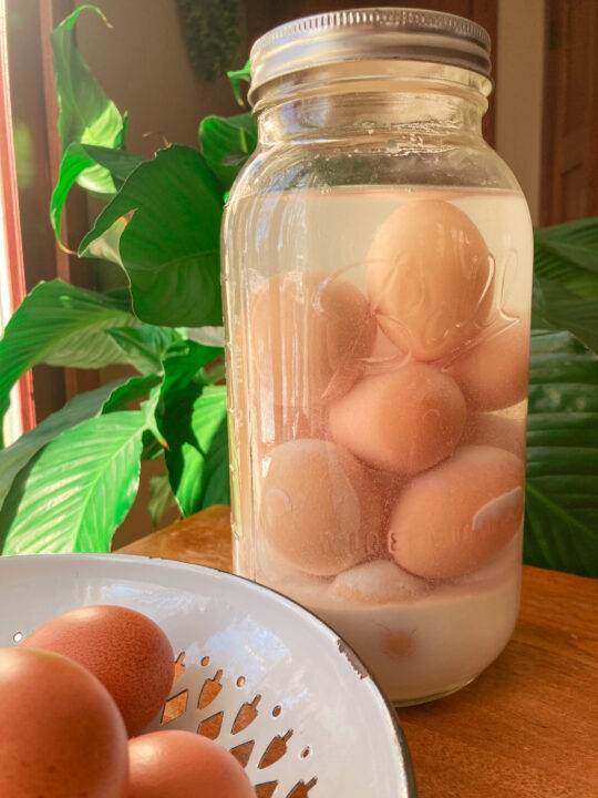 How To Water Glass Eggs 